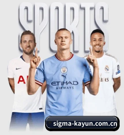 sigma-kayun.com.cn的故事